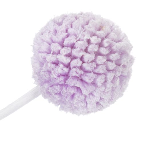 tételeket Craspedia szárított virágok modern asztaldíszként otthonába, 55 cm, 20 darab