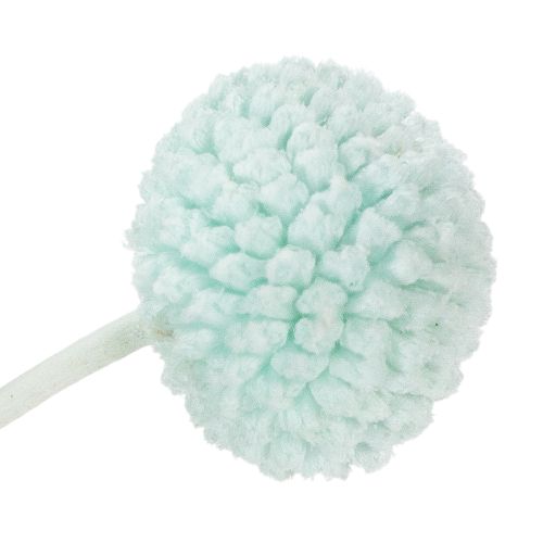 tételeket Szárított Craspedia virágok, dekoratív csokor nappaliba, asztaldísz, esküvő, 55cm, 20 darab