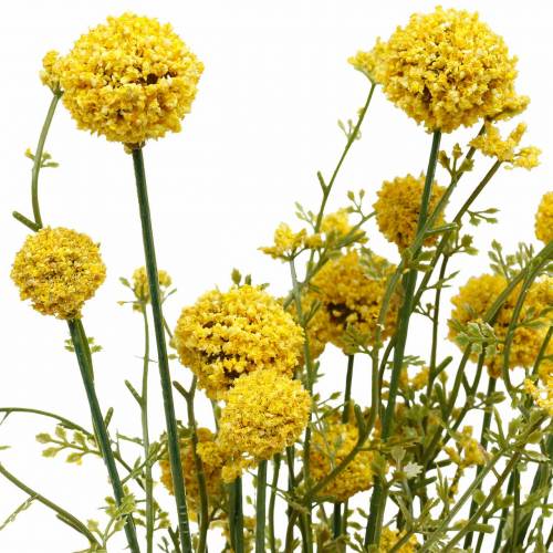 Floristik24 Artificial Craspedia in Bunch Yellow Drumstiks 3db