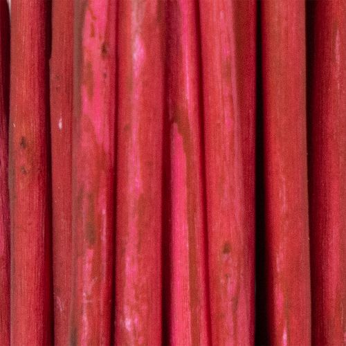 tételeket Göndör fűzfa szárított dekoratív ág kreatív virágkötészethez és lakberendezési kiegészítőkhöz 80cm 70g