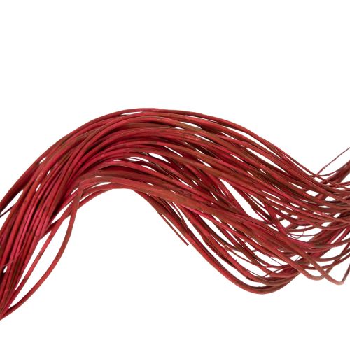 tételeket Göndör fűzfa szárított dekoratív ág kreatív virágkötészethez és lakberendezési kiegészítőkhöz 80cm 70g