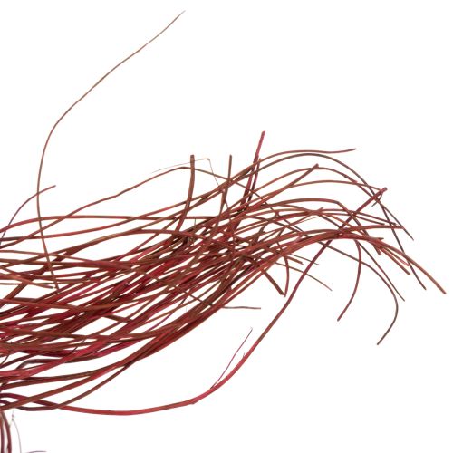 tételeket Göndör fűzfa szárított dekoratív ág kreatív virágkötészethez és lakberendezési kiegészítőkhöz 80cm 70g