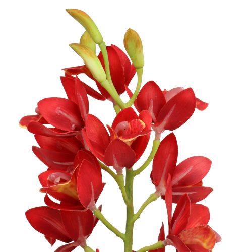 tételeket Orchid Cymbidium Red 78cm