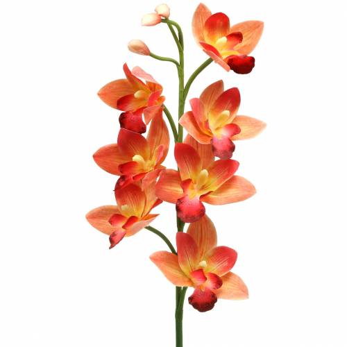 Floristik24 Orchidea művirág Cymbidium Orange 74cm