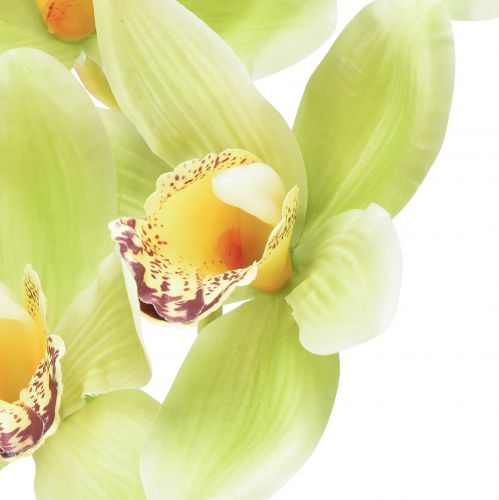Floristik24 Cymbidium orchidea mű5 virág zöld 65cm