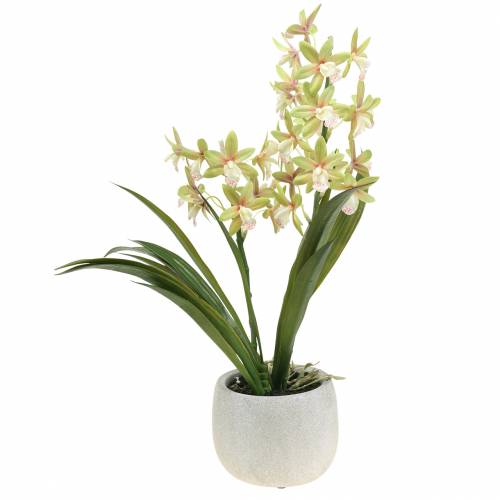 Floristik24 Orchid Cymbidium Green cserépben Artificial H46cm