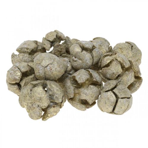 Floristik24 Ciprustobozok natúr, karácsonyi dekoráció, aranyozott kézműves kúpok Ø2-3cm H2,5-3,5g 330g