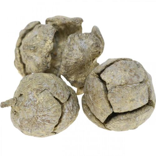 Floristik24 Ciprustobozok natúr, karácsonyi dekoráció, aranyozott kézműves kúpok Ø2-3cm H2,5-3,5g 330g