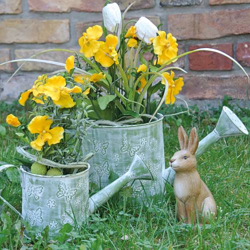 Floristik24 Ültetős öntözőkanna pillangós rózsaszín Ø10cm H10cm
