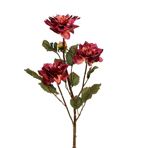 Floristik24 Dahlia Erika Ø10cm L68cm 3db