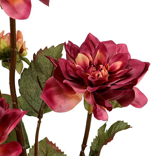 Floristik24 Dahlia Erika Ø10cm L68cm 3db
