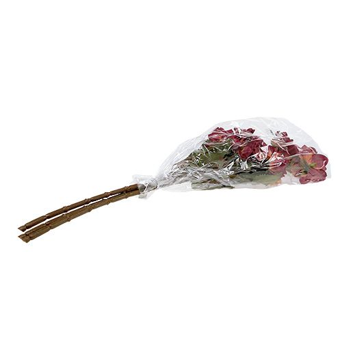 Floristik24 Dahlia Erika Ø10cm L68cm 3db