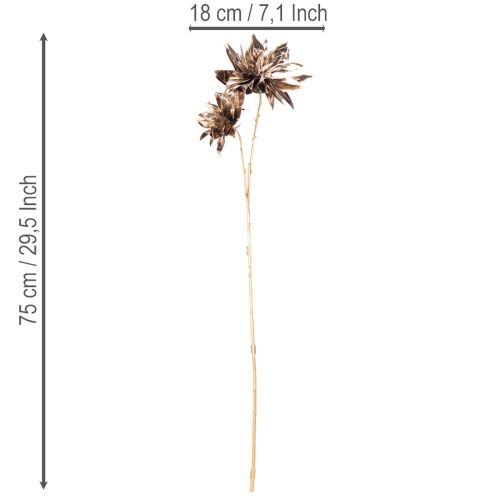 Műdália virág, hosszú szárú, két virággal, 75 cm | Floristik24.hu