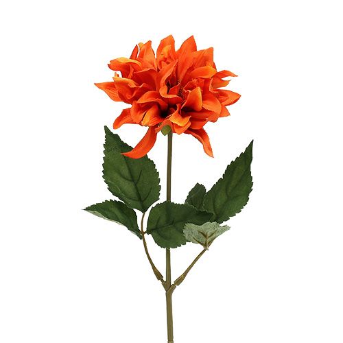 Floristik24 Dahlia Orange 28cm 4db