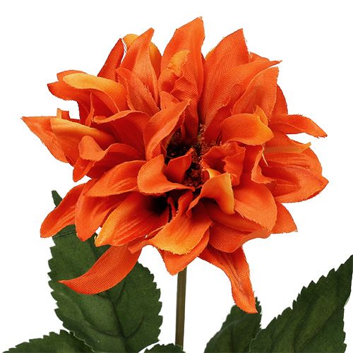 Floristik24 Dahlia Orange 28cm 4db