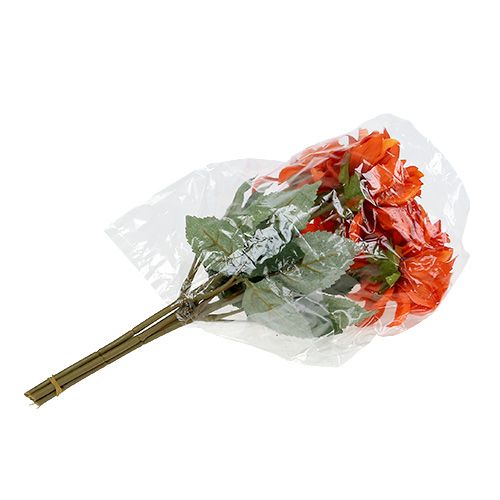 Floristik24 Dahlia Orange 28cm 4db