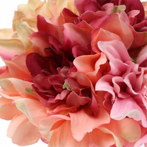 Floristik24 Dália csokor 28cm rózsaszín, krém 6db