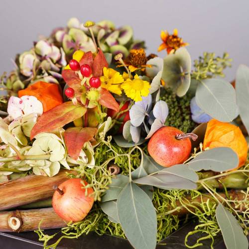 Floristik24 Mini alma 2cm dróton 54db