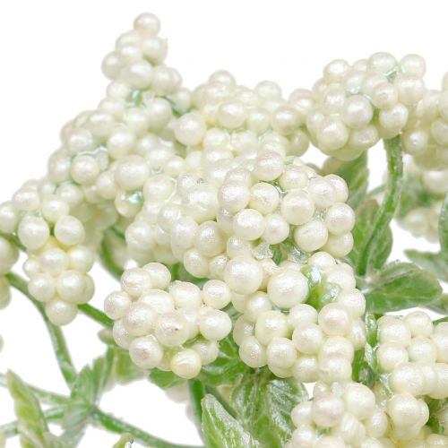 Floristik24 Dekoratív bogyóág fehér 24cm 5db