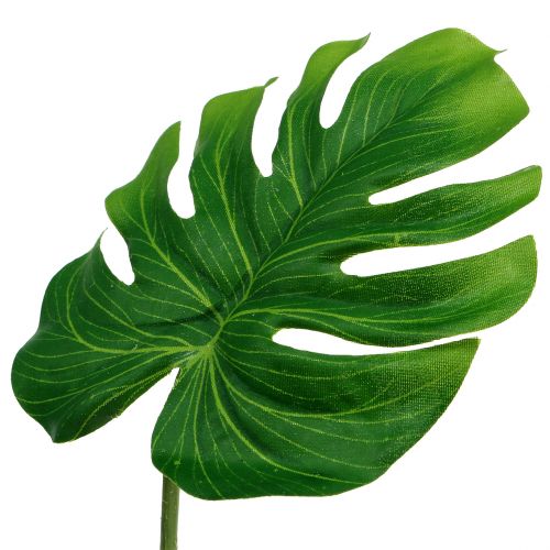 Floristik24 Deco Leaf Philo Leaf Green SZ11cm L29,5cm 3db