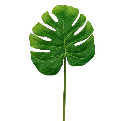 Floristik24 Deco Leaf Philo Leaf Green SZ11cm L29,5cm 3db