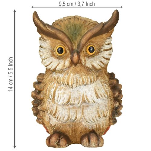 Floristik24 Dekoratív bagoly díszfigura kézzel festett őszi dekoráció polirezinből, 14 cm
