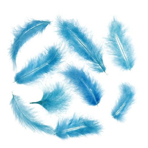 Floristik24 Rövid toll 30g türkiz