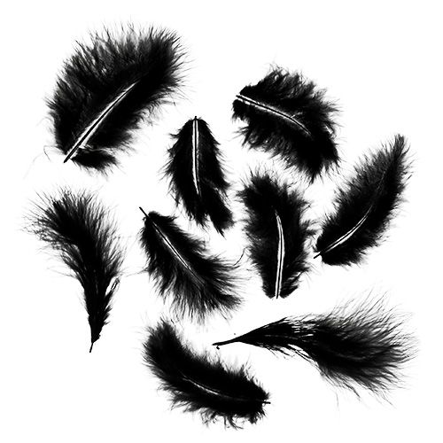 Rövid tollak 30g fekete