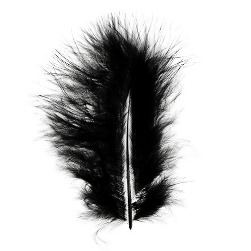 Floristik24 Rövid tollak 30g fekete
