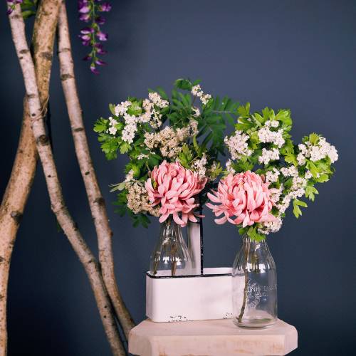 Floristik24 Dekoratív palackvázák fém tartóban H25cm