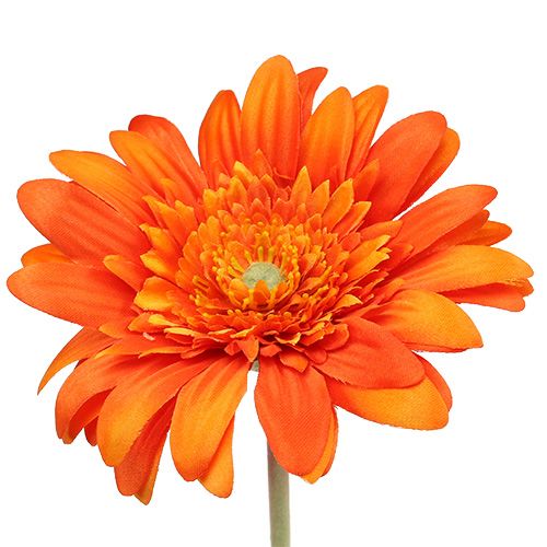 Floristik24 Deco gerbera narancs Ø10cm L53cm 6db