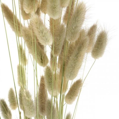 tételeket Lagurus szárított virágdísz, szárított szökőkútfű, természetes fű, H30–70cm 45g