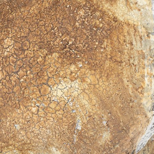 tételeket Dekoratív nyúlfigura tavaszi otthoni dekorációhoz, 32 cm, 2 darab