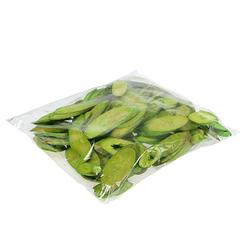 Floristik24 Dekoratív fa korongok tavaszi zöld 300g