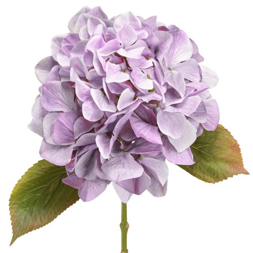Dekoráció Hortenzia Művirágok Lila Virág Ø18cm 69cm 2db