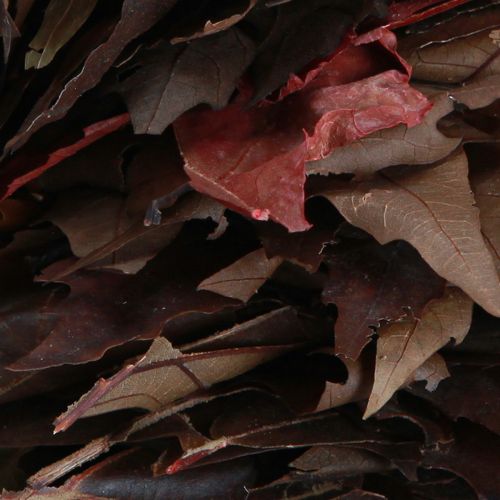 Floristik24 Dekoratív koszorú akasztható platán levél koszorú natúr Ø35cm