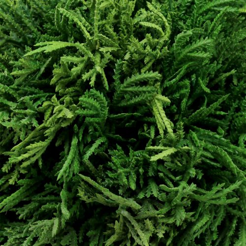 Floristik24 Mesterséges növényi labda akasztható zöld Ø20cm