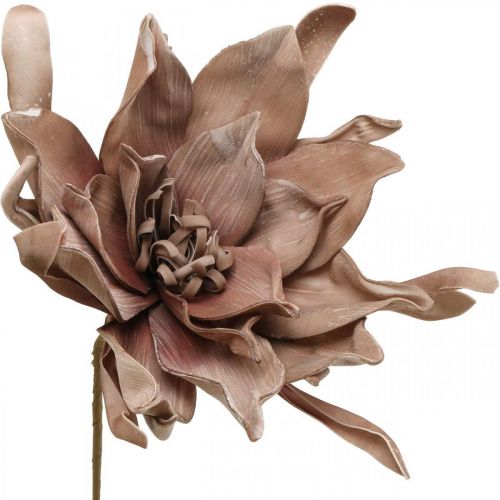 tételeket Deco lótuszvirág műlótuszvirág művirág barna L68cm