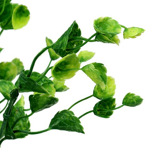 Floristik24 Deco menta szál zöld L74cm 6db