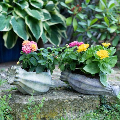 Floristik24 Dekoratív mákkapszula, betonültető, cachepot, sírdísz L26cm