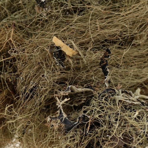 Floristik24 Dekoratív mohanatúr kézműves munkákhoz 500g