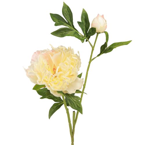 tételeket Dekoráció Pünkösdi rózsa Művirágok Sárga Virág L64cm 2db