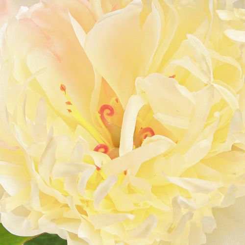 tételeket Dekoráció Pünkösdi rózsa Művirágok Sárga Virág L64cm 2db