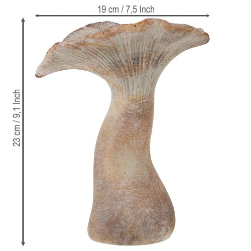 tételeket Dekoratív gomba öntött kő őszi dekoráció szürke mosott 19×15cm M23cm