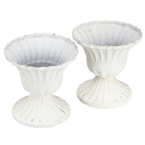 Floristik24 Dekoratív csésze Shabby Chic Chalice Fehér Ø8cm H8,5cm 2db