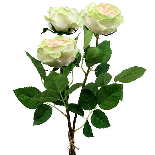 Floristik24 Deco rózsa krém-rózsaszín Ø10cm 52cm 3db