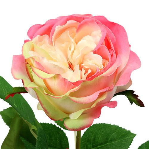 tételeket Deco rózsa rózsaszín Ø10cm 52cm 3db