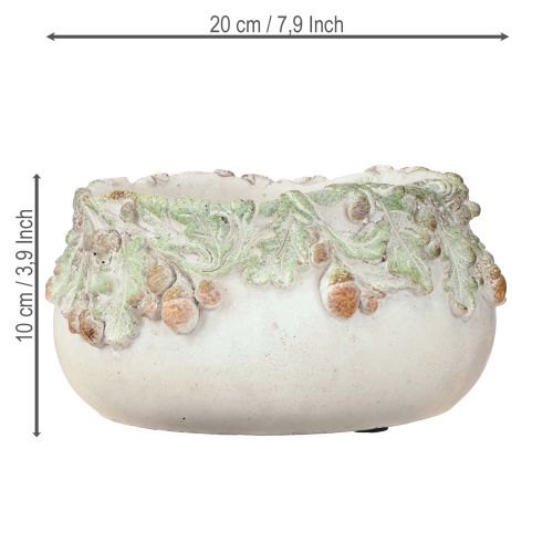 tételeket Dekoratív tál, öntött kő, makk ültető, Ø20cm M10cm