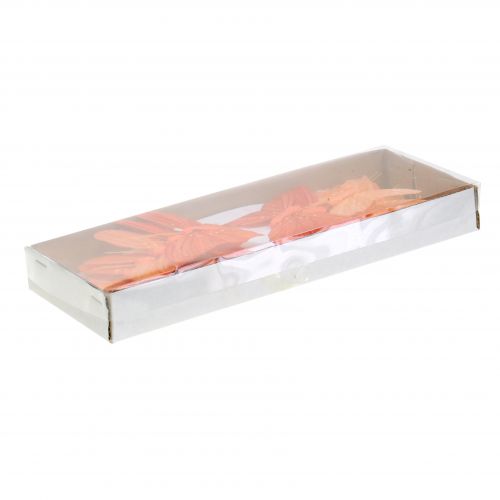 Floristik24 Dekoratív pillangó narancs 12db