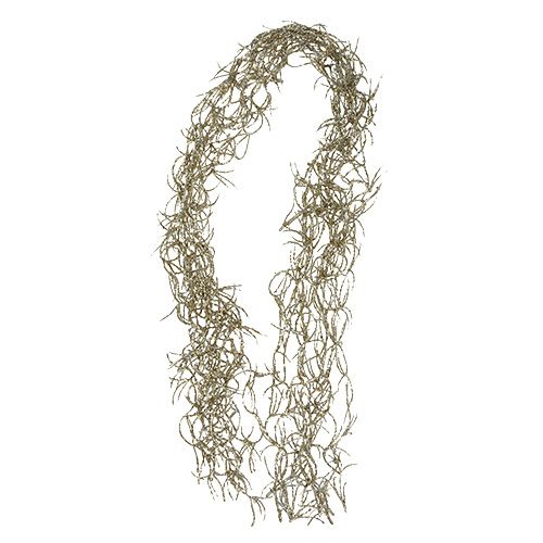 Floristik24 Deco szál Tillandsia arany 100cm 10db